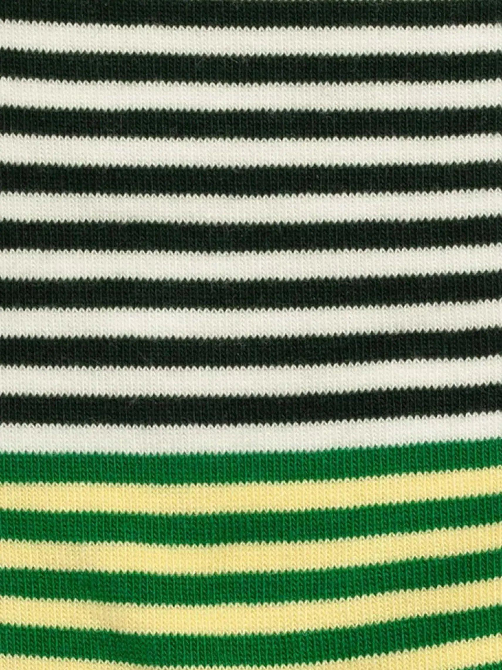 fine_line_green_socken_au_2.webp Fine Line Green Socken aus Bio-Baumwolle