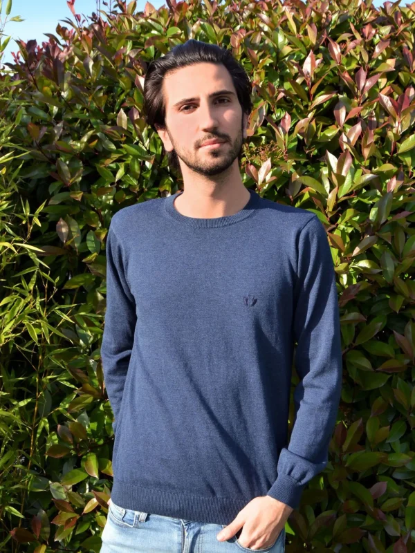 Le Délicat Herrenpullover Blau