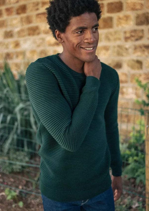 Pullover aus Bio-Baumwolle Marbre Grün