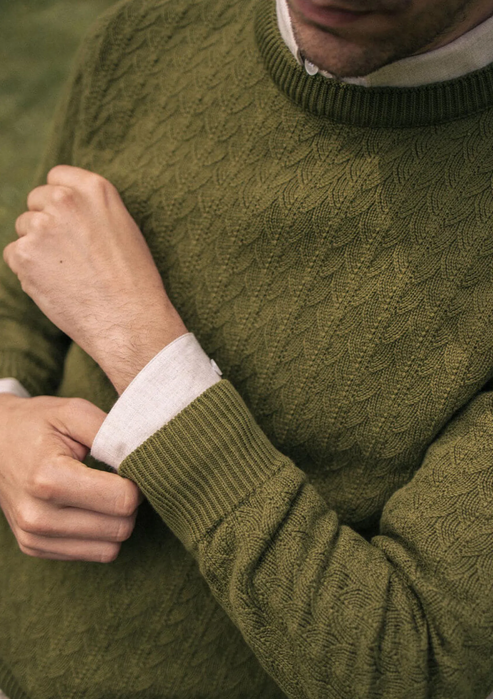 herren_pullover_tilleul_g_3.webp Herren Pullover Tilleul Grün
